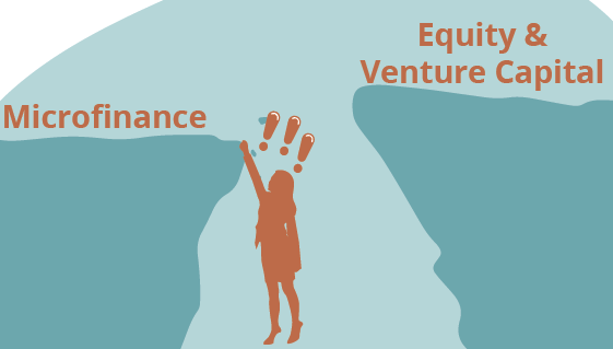 graphic of a woman clinging to a cliff that says "microfinance," while across the chasm is another even more unreachable cliff called "Venture Capital"